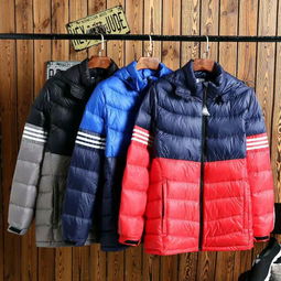 夢(mèng)芝蘭休閑羽絨服 創(chuàng)業(yè)者不容錯(cuò)過(guò)的服裝批發(fā)機(jī)遇